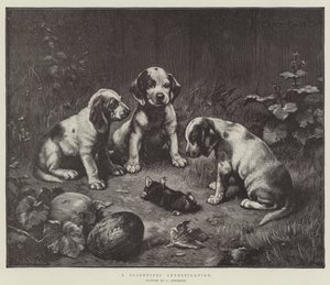 Een wetenschappelijk onderzoek door Carl Reichert